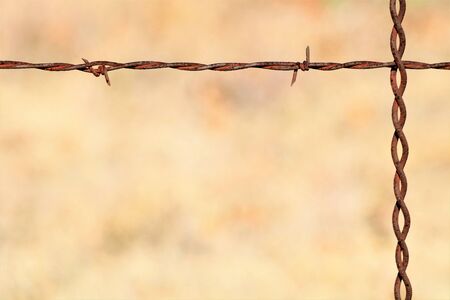 Close-up of a section of rusted barbed wire fence on a blurred light brown background. Can be used for background or border.の写真素材