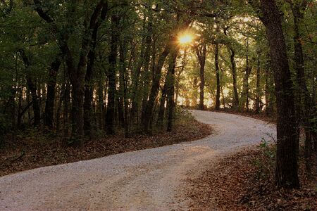 A country trail winding uphill through the woods as the sun peeks through the trees at sunrise.の写真素材