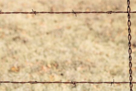 Close-up of a section of a rusty barbed wire fence that makes a border for a light brown blurred background. Can be used as a background or border.の写真素材