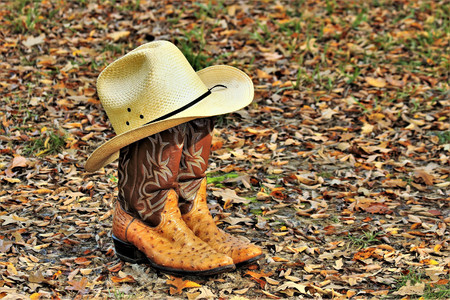Yellow straw cowboy hat resting on ostrich boots, sitting on the ground surrounded by autumn leaves.の写真素材