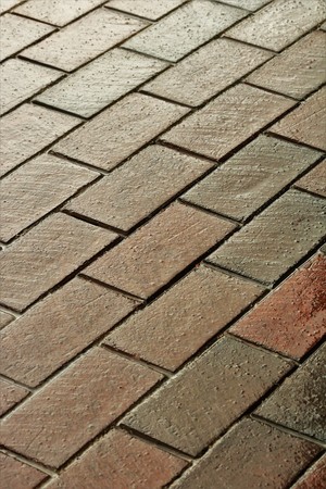 Vertical shot of a wet brick sidewalk after a rain.