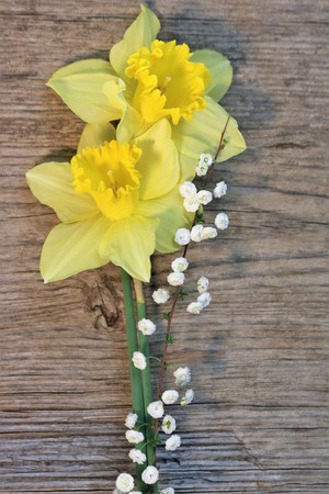 Two yellow daffodils with a stem of tiny white wildflowers arranged on a weathered wood background.の写真素材