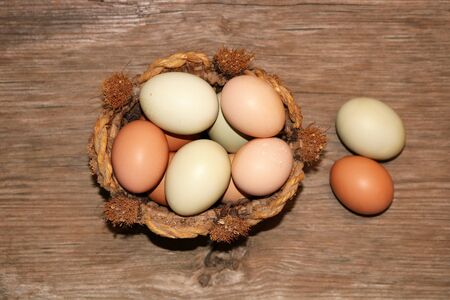 Top view of green and brown farm fresh eggs in a round basket, with two eggs on the side, on a wood grain background.の写真素材