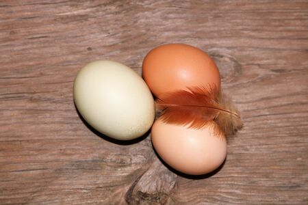 Top view of three farm fresh brown and green eggs lying on a wood table with a small red chicken feather.の写真素材
