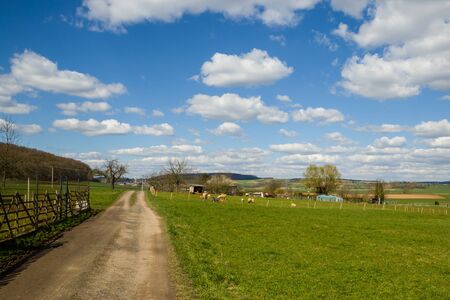 back country road in europeの写真素材