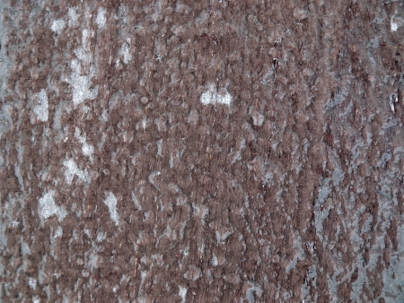 Ice on the old doorの写真素材