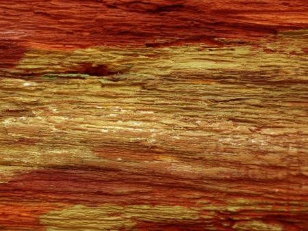 Painted on woodの写真素材