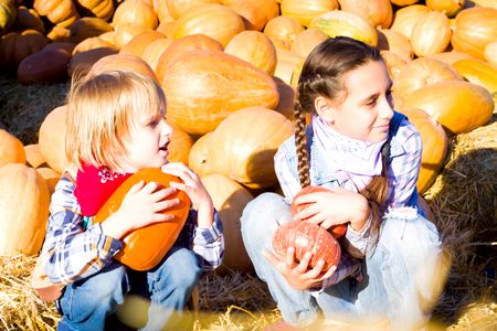 Cute Young Brother and Sister Children sitting on straw with pumkins on farm market. Family celebrating thanksgiving or halloween.の写真素材