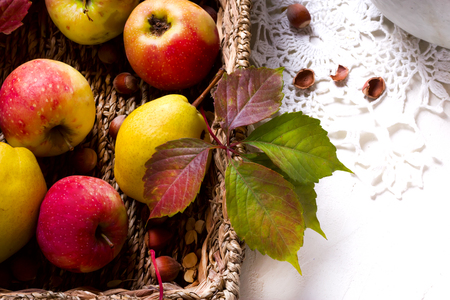 harvest of red apples in a basket and in autumn leavesの写真素材