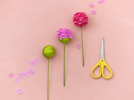 DIY instruction. Making flowers from foamの写真素材