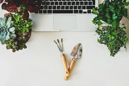 Remote online purchases of garden plants and equipment. A comfortable stylish freelancers workplace...