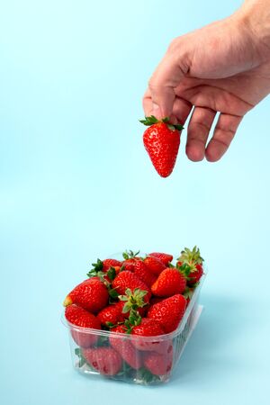 Hand takes a strawberry. Fresh harvest of organic berries. Close up. Blue background.の写真素材