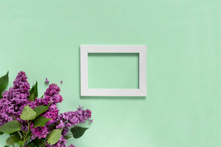 Creative minimalist banner with lilac flowers and white frame on trendy pale green background. Web banner. Top view, flat lay, copy space.の写真素材