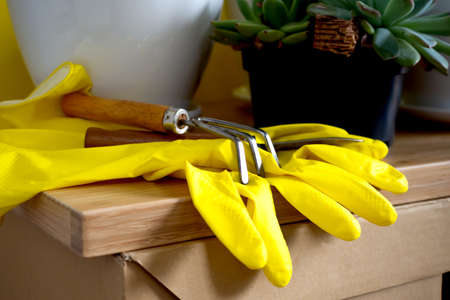 Close-up composition of yellow gardening gloves and tools. Indoor home garden plants of home interiorの写真素材