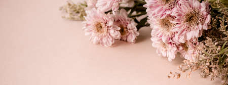 Beautiful bouquet of pink chrysanthemum flowers on pale beige background. Trending minimalist horizontal banner with copy space for text.の写真素材