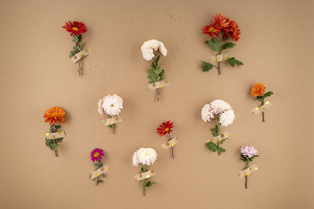 Minimal flowers mock up on earth tones Backgroundの写真素材