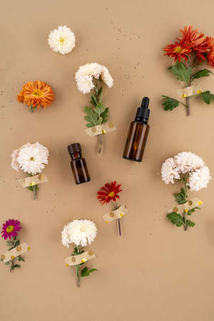 Skin care product serun and essential oils setの写真素材