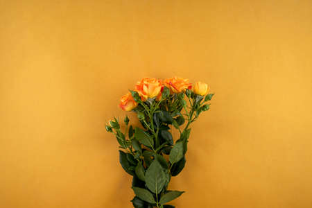 Minimal flowers mock up on earth tones Backgroundの写真素材