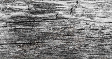 Wood texture. Gray timber board with weathered crack lines. Natural background for shabby chic design. Grey wooden floor image.の写真素材