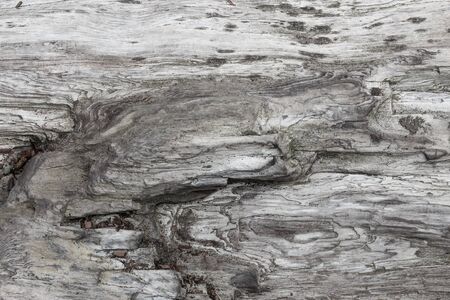 Wood texture. Gray timber board with weathered crack lines. Natural background for shabby chic design. Grey wooden floor image.の写真素材