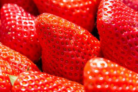 Strawberry. Fresh organic berries macro. Fruit background. Full frame. Shallow focus.