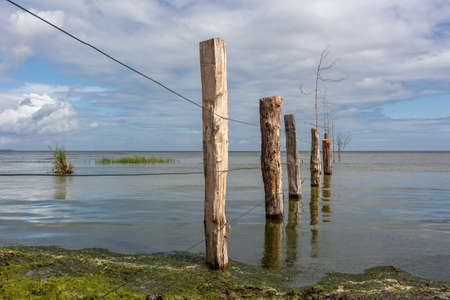 wood fence in sea water calm landscape cloudlyの写真素材