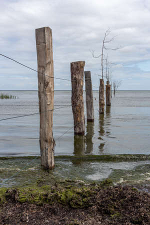 wood fence in sea water calm landscapeの写真素材
