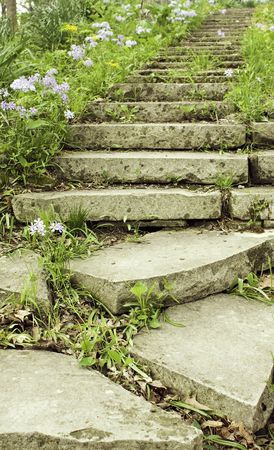 Stone stairway lined with flowering phlox on a shady garden path in  vertical orientation