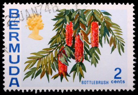 BERMUDA - CIRCA 1970: A 2-cent stamp printed in Bermuda shows flowers and leaves of a bottlebrush plant, circa 1970のeditorial素材