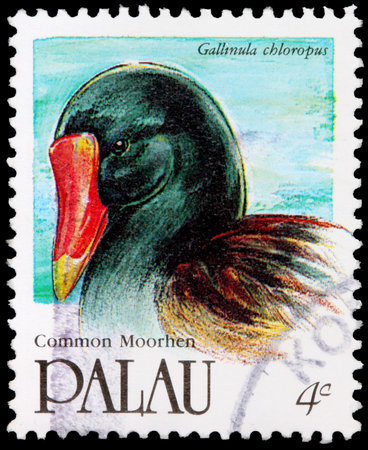 PALAU - CIRCA 1991: A 4-cent stamp printed in the Republic of Palau shows the common moorhen, Gallinula chloropus, circa 1991のeditorial素材