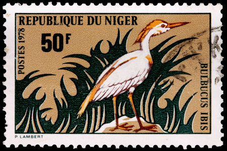 NIGER - CIRCA 1978: A 50-franc stamp printed in the Republic of Niger shows the cattle egret (Bulbucus ibis), circa 1978のeditorial素材