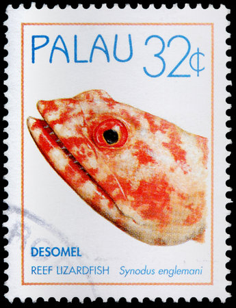 PALAU - CIRCA 1995: A 32-cent stamp printed in the Republic of Palau shows the reef lizardfish, Synodus englemani, from Desomel Island, circa 1995のeditorial素材
