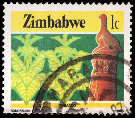 ZIMBABWE - CIRCA 1985: A 1-cent stamp printed in the Republic of Zimbabwe shows tobacco, circa 1985のeditorial素材