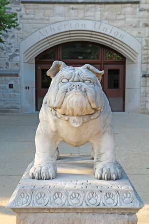 INDIANAPOLIS, INDIANA - JULY 30: Bulldog statue in front of the Atherton Union building at Butler University, July 30, 2011. This statue of the popular school mascot is a gift from the class of 1996.のeditorial素材