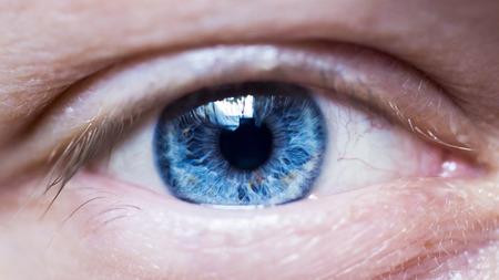 Human eye