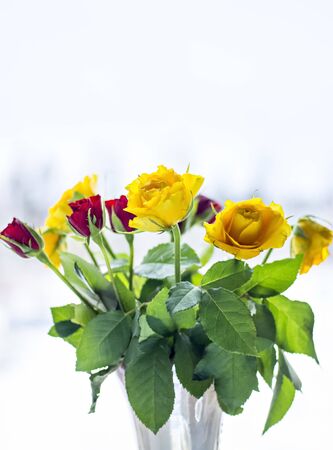 Bouquet of yellow and red roses in vaseの写真素材