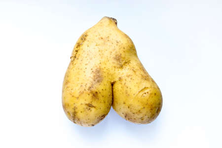 Unusual shape of natural potatoの写真素材