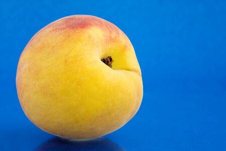 Peach on blueの写真素材
