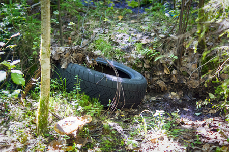 Junk in the wild forestの写真素材