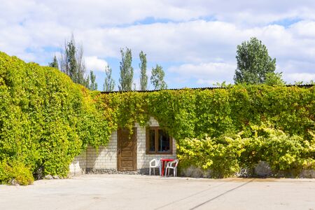 Exterior of green house overgrown with vineの写真素材
