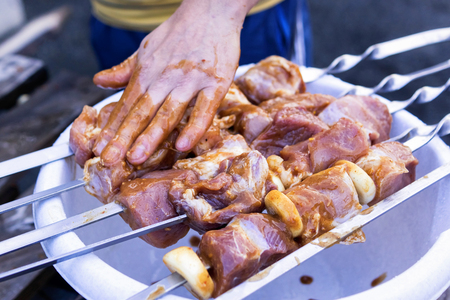 Preparations of tasty roasted pork for picnicの写真素材