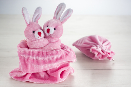 Pink bunnies in bag hugging for valentines dayの写真素材