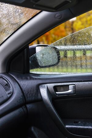 Autumn park on a rainy day from car window, vertical image