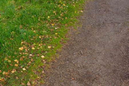 Background of dirt path and green lawn with fallen autumn leaves