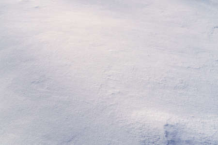 Fine snow cover texture in sunny winter dayの写真素材