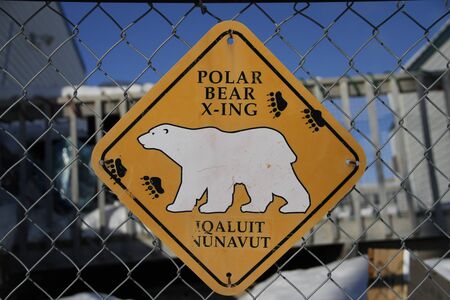 Polar Bear crossing sign hanging on a fence in Iqaluit, Nunavutの写真素材