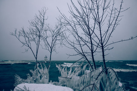 Bare trees covered in snow with a lighthouse and water in the background and an overcast day in the Bruce Peninsula, Ontario, Canadaの写真素材