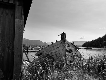 Black and white photo of an old fishing boat on shore surrounded by grass. British Columbia, Canadaの写真素材