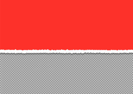 Torn paper, red realistic paper strip with soft shadow is on transparent background. Your text here. Vectorのイラスト素材