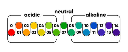 PH scale meter for acidic and alkaline solutions. Acid-base balance scale. Chemical test. Vector illustration.のイラスト素材